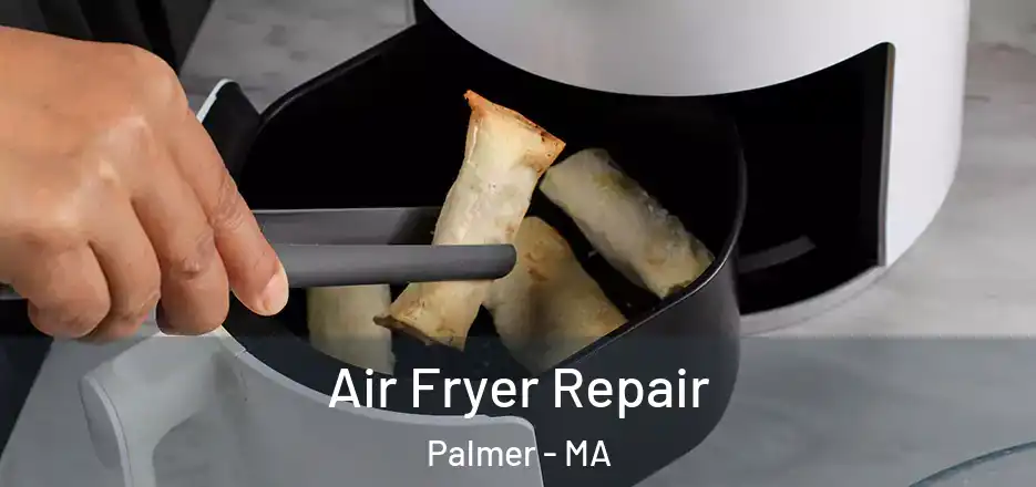 Air Fryer Repair Palmer - MA
