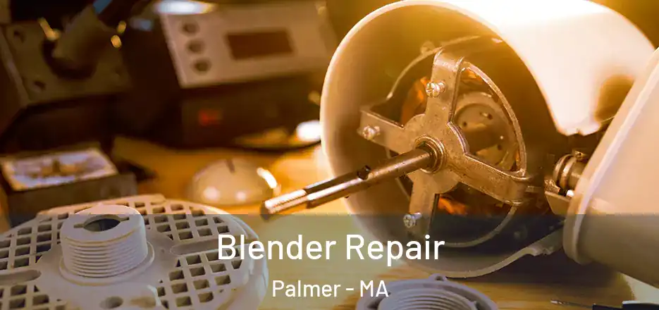 Blender Repair Palmer - MA