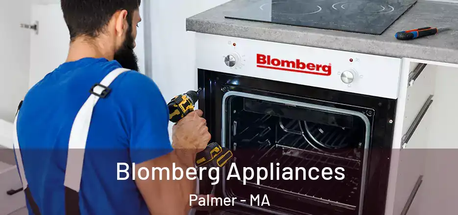Blomberg Appliances Palmer - MA
