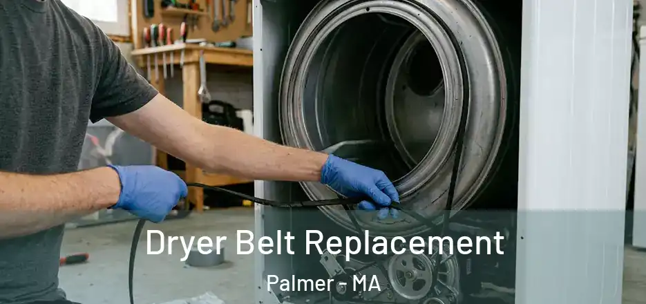  Dryer Belt Replacement Palmer - MA