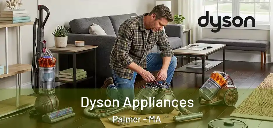 Dyson Appliances Palmer - MA