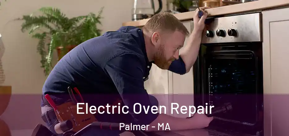  Electric Oven Repair Palmer - MA