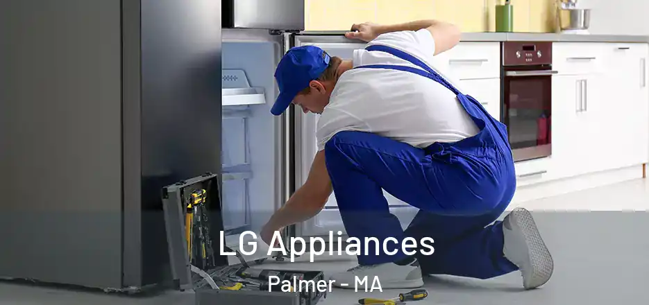  LG Appliances Palmer - MA