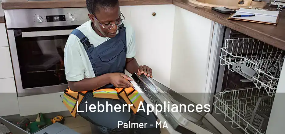  Liebherr Appliances Palmer - MA