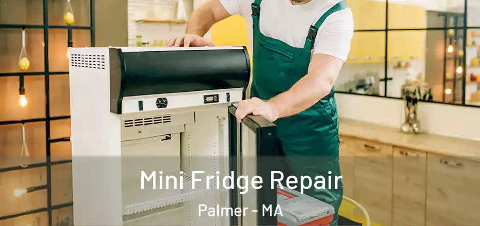 Mini Fridge Repair Palmer - MA