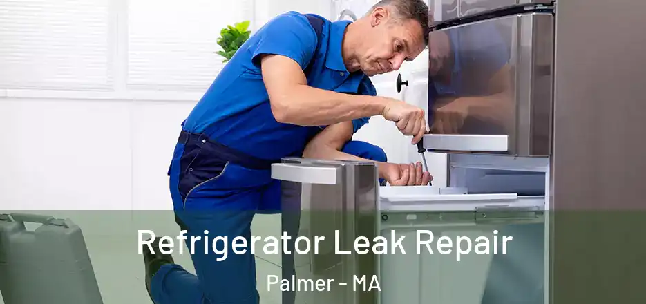  Refrigerator Leak Repair Palmer - MA