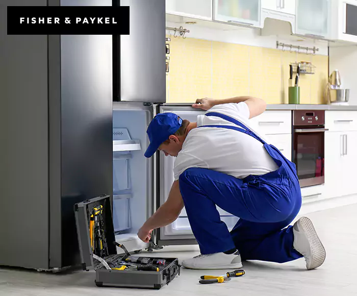 Top-Rated Fisher & Paykel Appliance Experts: Your Brand Specialist in Palmer, MA