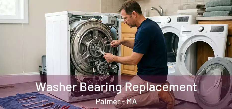  Washer Bearing Replacement Palmer - MA
