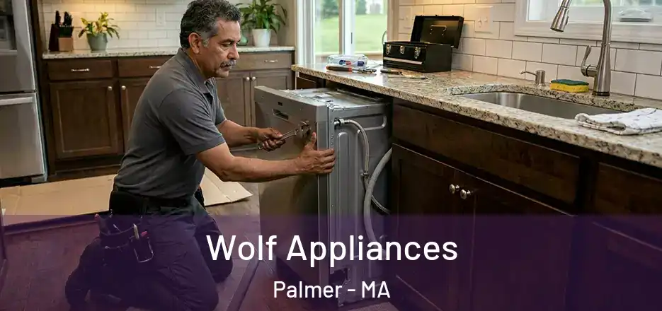 Wolf Appliances Palmer - MA